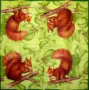 029 Eichhörnchen - 4-ply (cream) - Ihr - Handkerchief